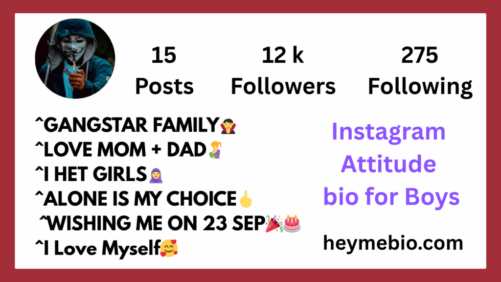 Instagram Bio For Boys